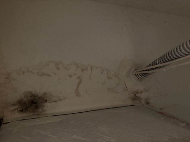 Water-damaged wall and ceiling with visible mold growth in the corner, near a bundle of electrical cables running along the right side.