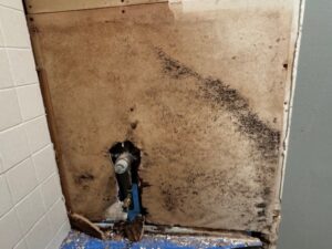 A bathroom wall with extensive black mold and water damage is exposed behind missing drywall, with plumbing visible and debris on the floor.