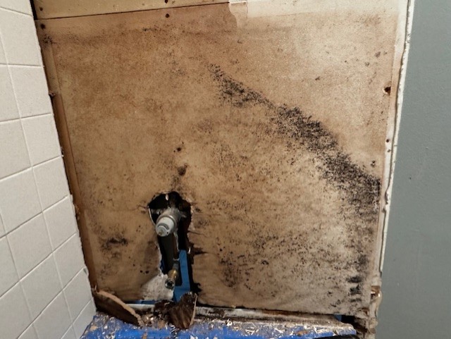 A bathroom wall with extensive black mold and water damage is exposed behind missing drywall, with plumbing visible and debris on the floor.